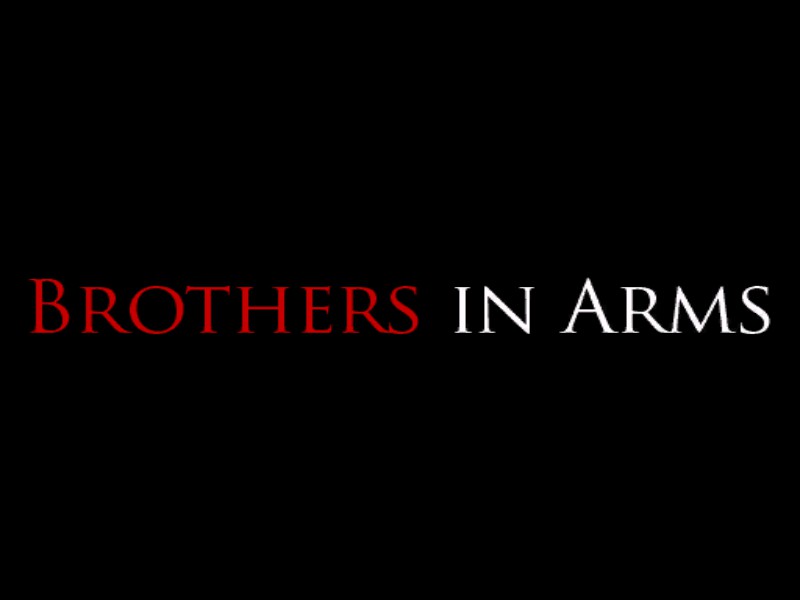 Brothers in Arms: Earned in&nbsp;Blood